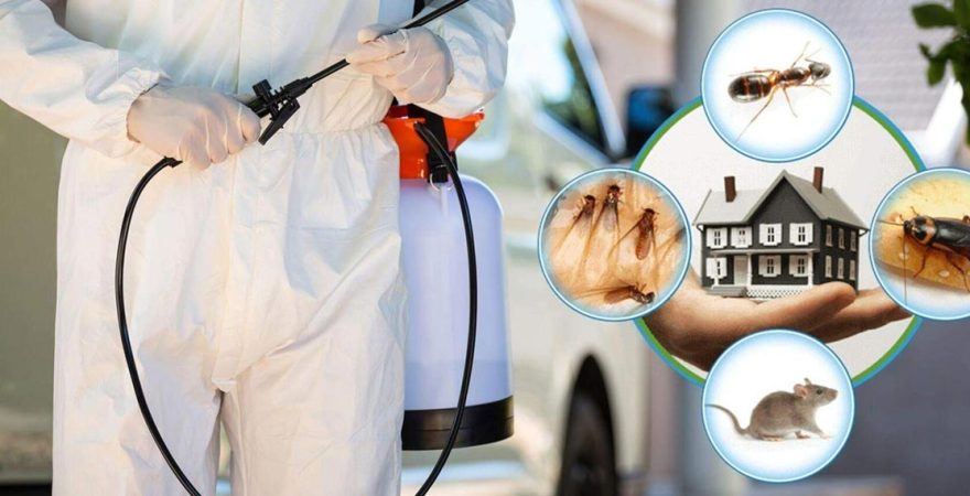 Gercüş Böcek İlaçlama