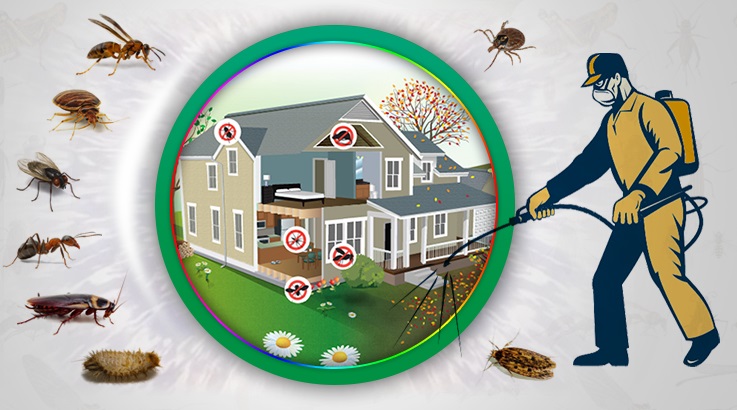 Gercüş Böcek İlaçlama