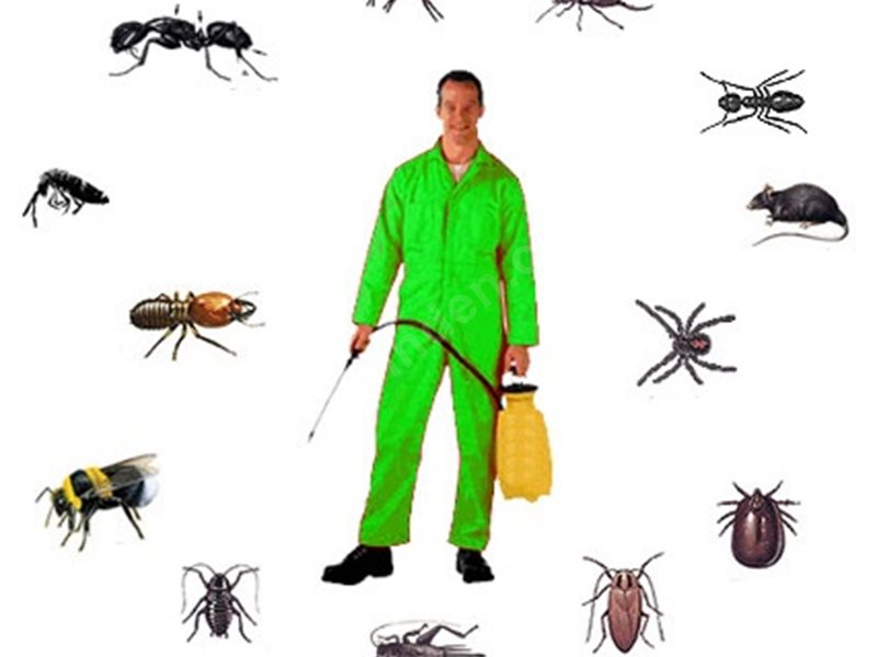 Gercüş Böcek İlaçlama